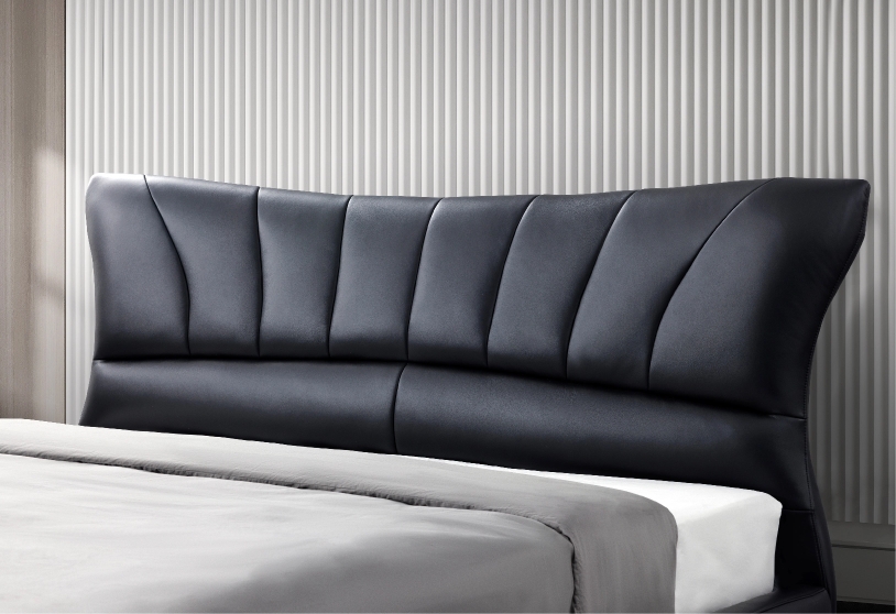 6.-DOLPHIN_Product-Detail-Image-1